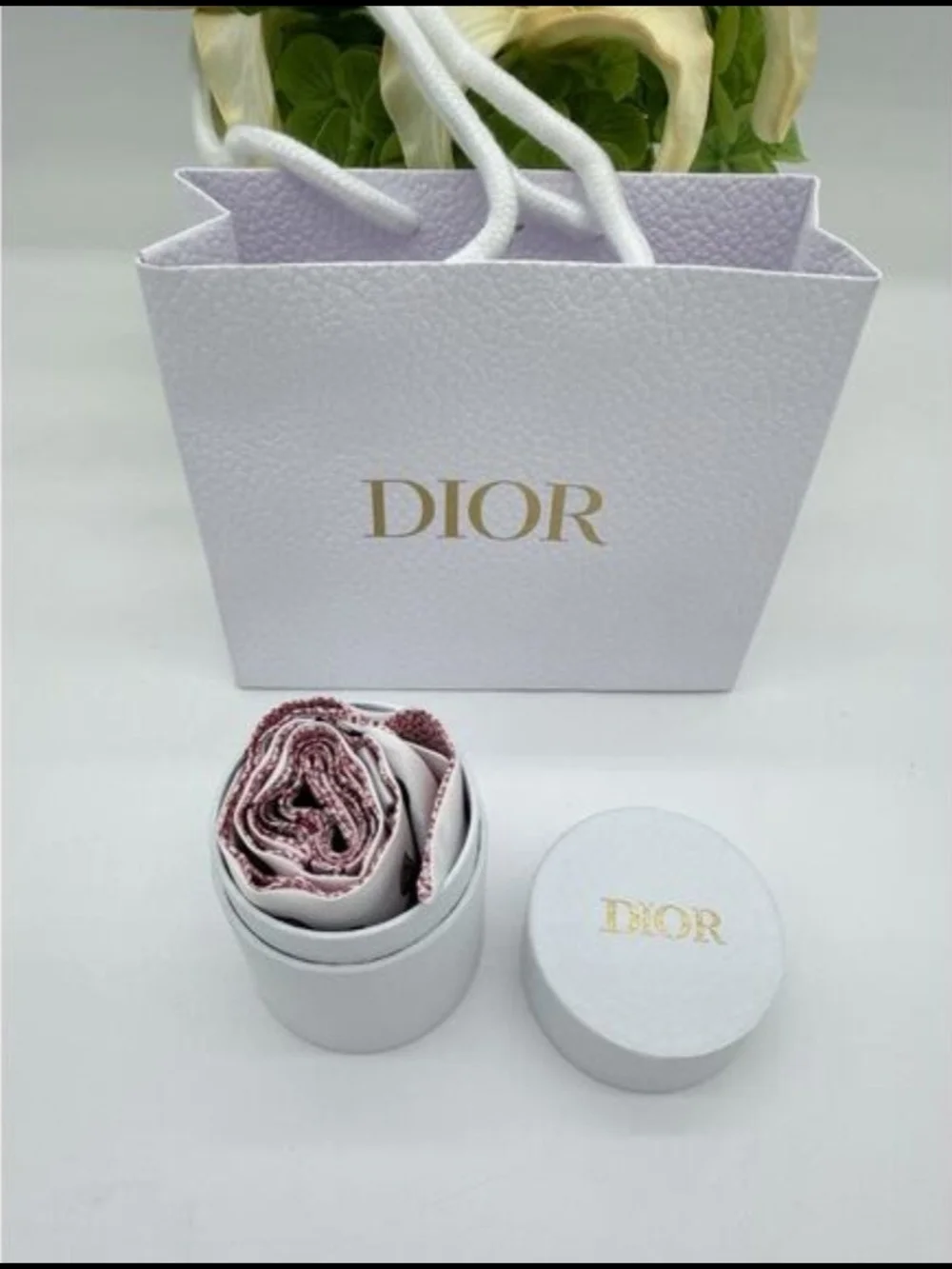 Dior christian butterfly
